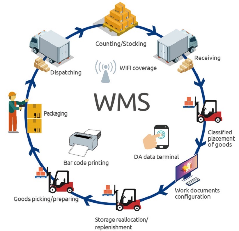 Types Of Warehouse Management System Entrepreneurs Tips